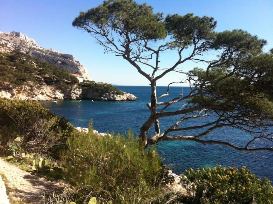 Cabanon Aux Goudes Calanques * Marseille